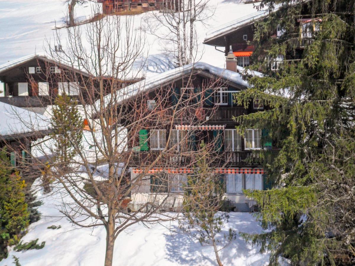 Apartment Chalet Spassvogel By Interhome Grindelwald Exteriér fotografie