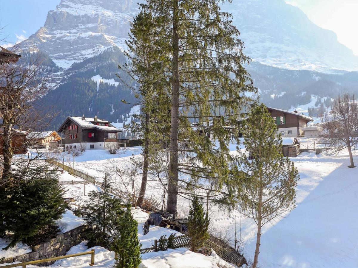 Apartment Chalet Spassvogel By Interhome Grindelwald Exteriér fotografie