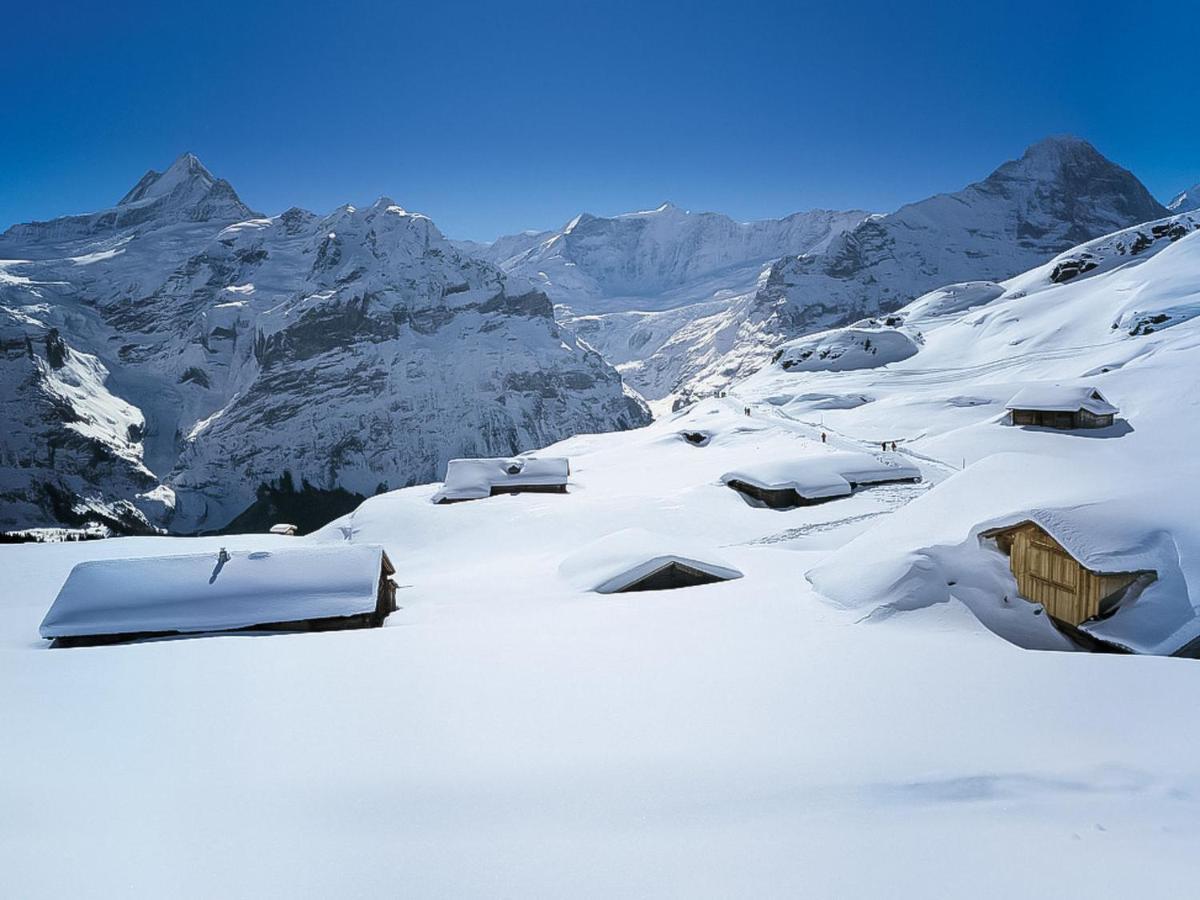 Apartment Chalet Spassvogel By Interhome Grindelwald Exteriér fotografie